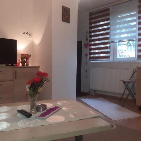 Ada Apartman Apartment Sarajevo Luaran gambar
